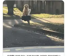 급정거 다발 구간