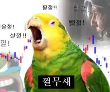 주식 이야기에 항상 나오는 새