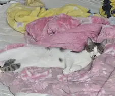 진짜 우리집 카레상태가 왜이러는걸까요..??