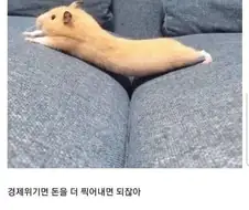 아동만화에 나온 초인플레이션 현상