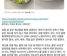 상추 먹다가 노로바이러스 걸렸다는 사람