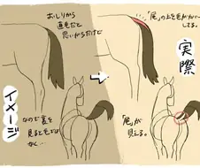 [말딸] 말딸의 꼬리 구조