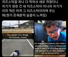 돌아오지않는 치즈스틱.jpg