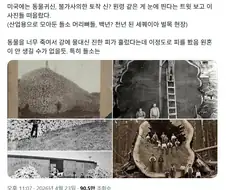 미국에서 야생동물이나 토착 신의 원혼 목격담이 많은 이유.jpg