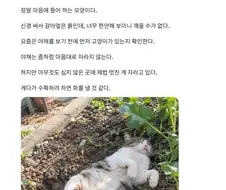 "흙이랑 친해야 건강해진다 카더라고......"