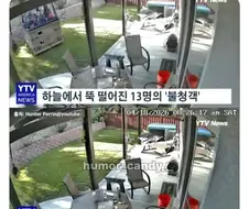 우리집 마당에 모르는 사람 13명이 들어옴