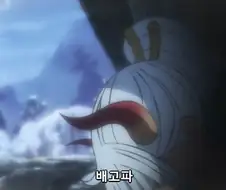원피스) 카이도 해적단의 유일한 양심
