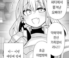 메스가키 팔라딘