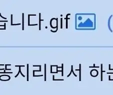 화살표 놀이 대참사.jpg