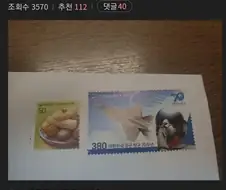 무시무시한 군 위문 편지 테러 사건 ㄷㄷ;;