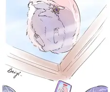ㅎㅂ) 짤녀 귀엽고 끌리고 섻시하고 결혼하고싶으면 자러간다!!!.manga