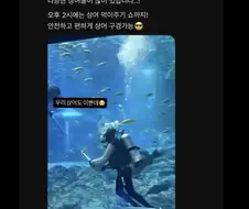 부산 상어 흥행보고 관심 좀 달라는 부산아쿠아리움.jpg