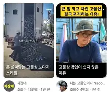 쇼츠렉카와 현실쇼츠