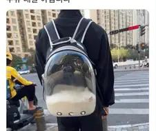 가방에 흰 우유를 담고 다니는 사람 jpg.
