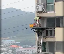 이사의 달인.jpg