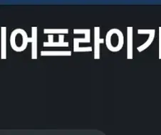 헤어드라이기로 감자튀김튀겼어