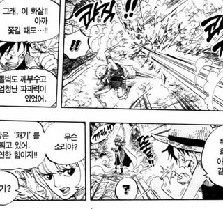 원피스) 패기에 대한 설정 정리