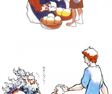 스트리트 파이터 등장인물의 의외의 직업