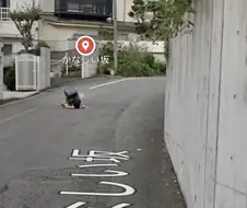 구글 위성 지도 특징