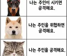 나는 주인이 시키면 공격해요.