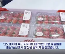 뭔가 심각한 오해를 살뻔했던 인니 한국 딸기 팝업