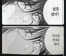 히카루의 바둑 대사 수정