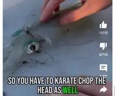 닌자슬레이어) 오징어를 손질하기 전에는 가라테 춉이 필요하다.manga