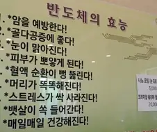 우리가 몰랐던 반도체의 효능 ㄷㄷ