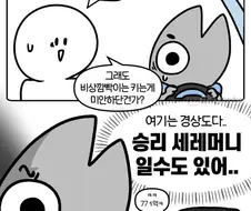경상도에서 사용하는 비상깜빡이의 의미.manga