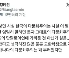 한국은 다문화가 아니라 다인종 단일문화국가를 원하는 것 같다.jpg