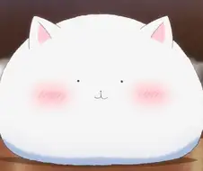 주문토끼) 현실 버전 팃피