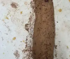 분위기 전환용 두쫀쿠임