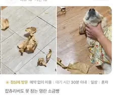 정말 맛있는 소금빵후기