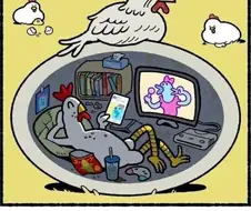 부화하지 않는 알을 품는 어미닭