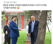 중국에는 미국보다 오래된 나무가 있다