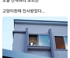 살려달라 닝겐