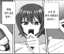 어느날 옆집 아이가 SD카드를 건네줬다