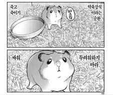 햄스터가 당신에게 조언합니다.manhwa