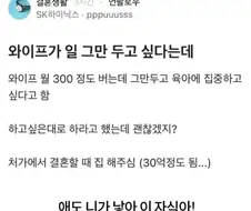 와이프가 일 그만 두고 싶다는데