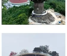 창원시에 있다는 ＇저주받은 생명의 나무＇