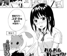 햄지가 보스터에 들어가버린 만화