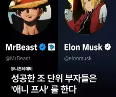 애니프사 해야하는 이유