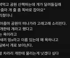 자기 새끼 ＇개＇라고 불렀다고 혼남