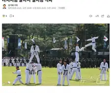 ㅇㅇ처럼 날아서 벌처럼 격파