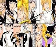 블리치) 모아놓으니까 완결시점 호정 13대 전력 ㅈㄴ심각하긴하다.