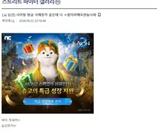 디시 격투게임 겔러리의 갈등 해결법