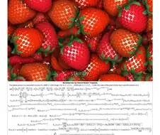 수학과 졸업작품 레전드.jpg