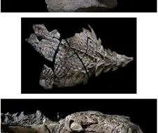 가장 완벽한 공룡화석.jpg