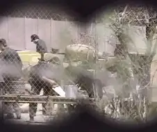"집시가 무슨 짓을 했다고 괴롭히는거죠?"