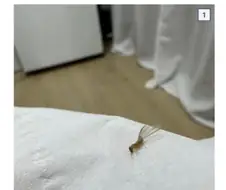 글 하나로 국가기관 어벤져스 시키기.jpg